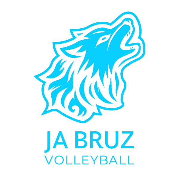 Logo Volley JA