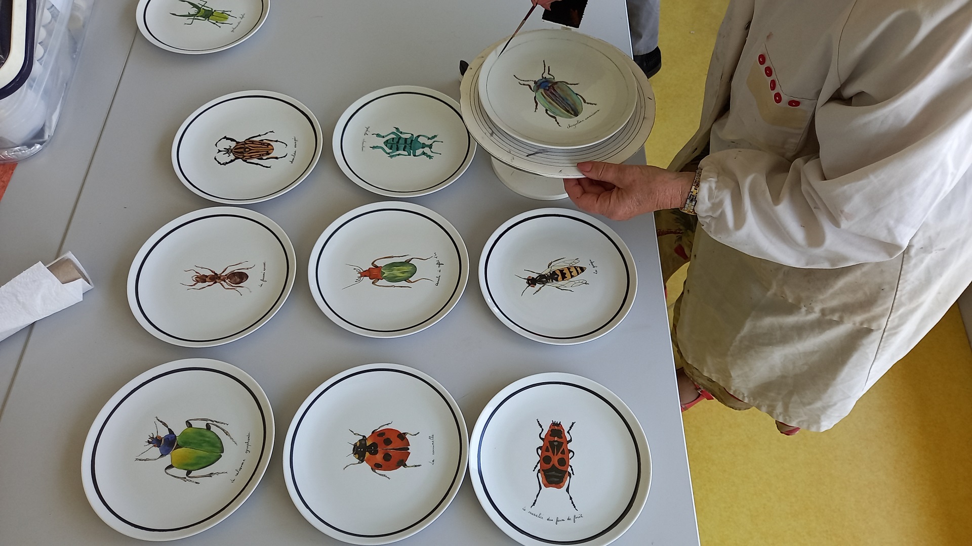 Assiette insectes